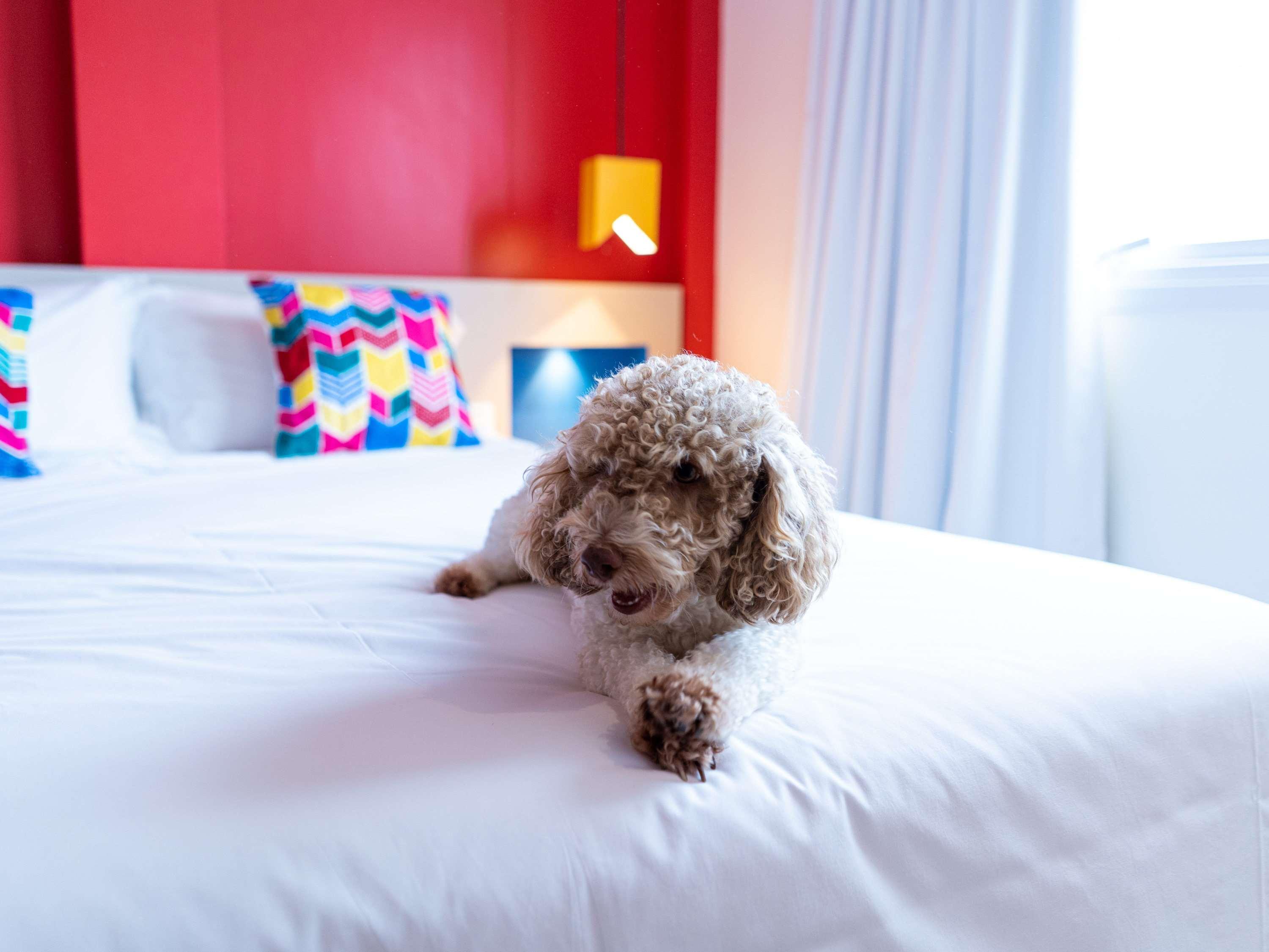 Ibis Styles Campina Grande Hotel Kültér fotó